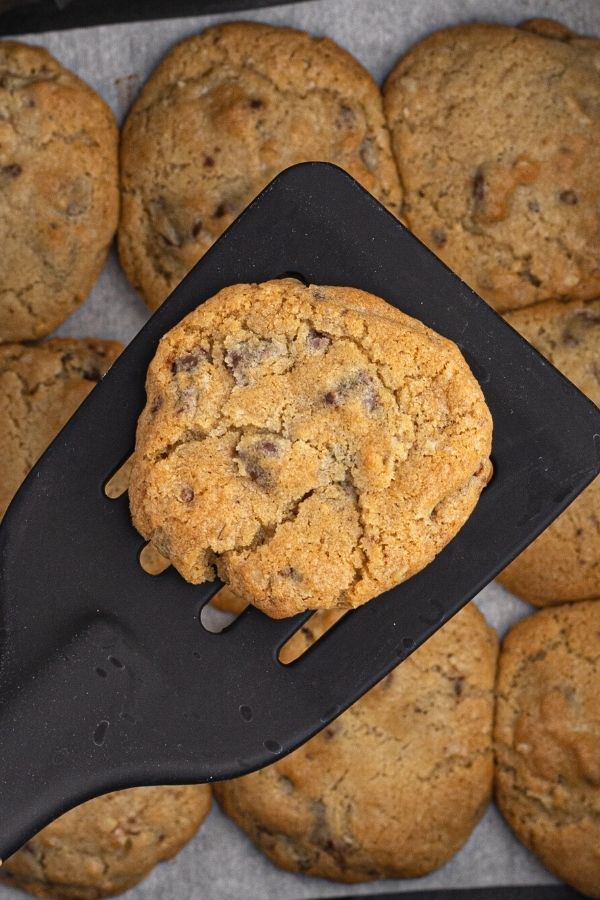 Cooked chocolate chip cookie on a spatula. Close up of the cookie. 