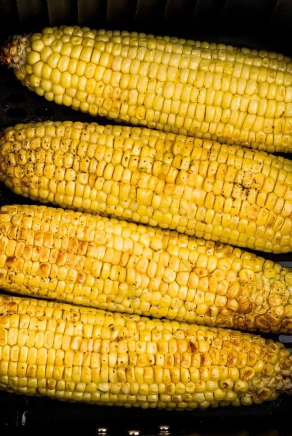 Golden yellow corn on the cob in the air fryer basket after being cooked and seasoned.