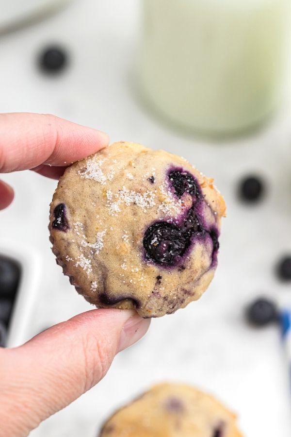 Air Fryer Blueberry Muffin Bites - 45