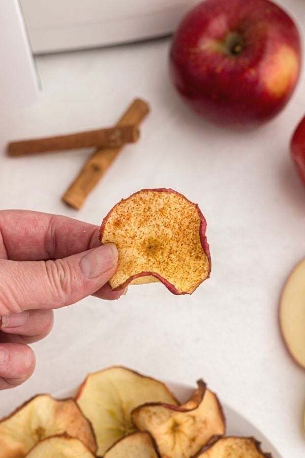 Close up photo of apple chip with cinnamon sprinkled on top.