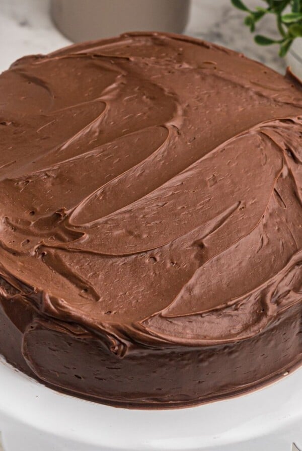 Chocolate round cake, frosted with chocolate frosting on a white cake stand