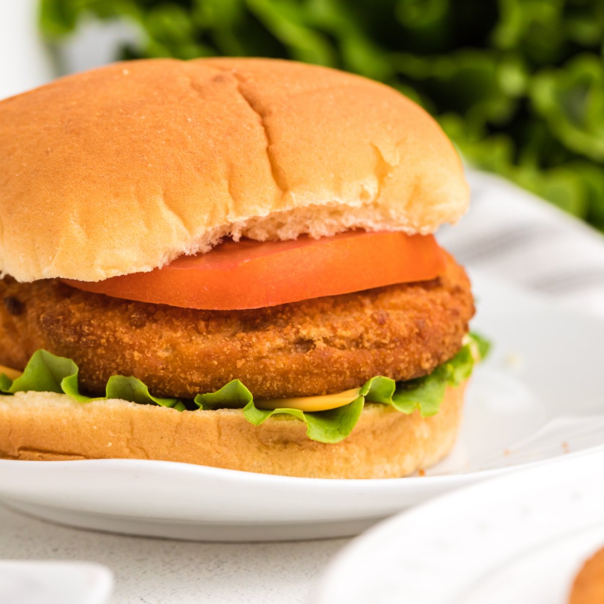 Frozen Chicken Patties in Air Fryer