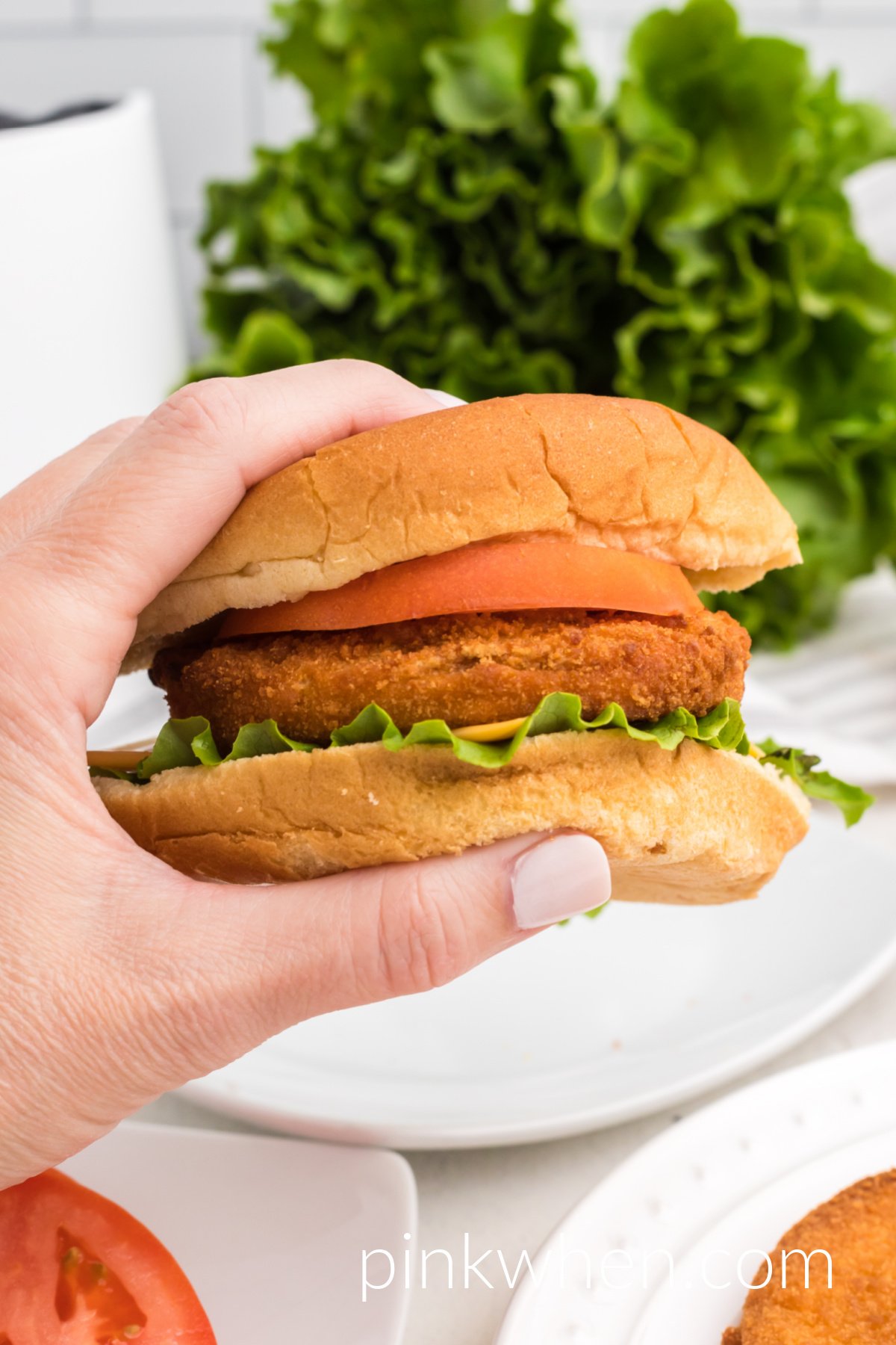 Frozen Chicken Patties in Air Fryer - 39