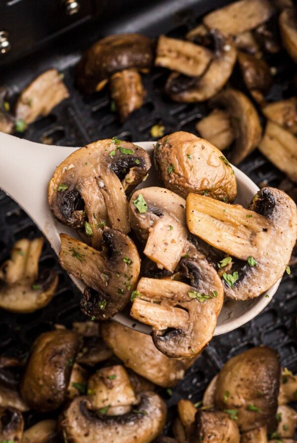 Juicy spoonful of mushrooms after being cooked in the air fryer