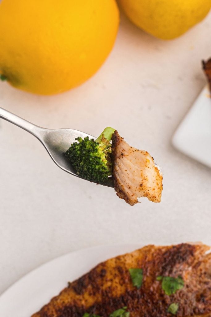 Fork bite of cooked tilapia served with broccoli