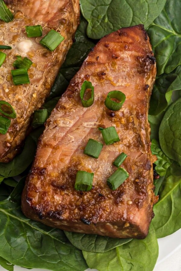 Juicy close up of tuna steaks on spinach garnished with green onions