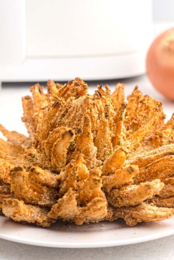 Golden crispy sliced onion with air fryer in background