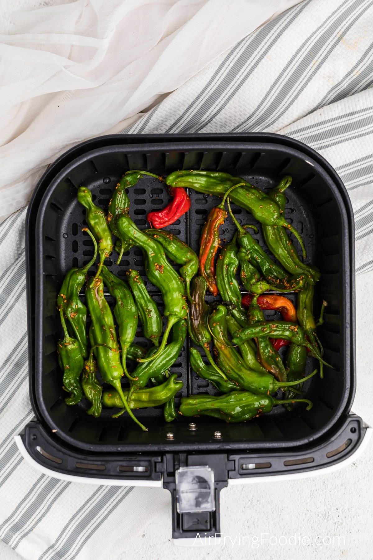 Seasoned and oiled shishito peppers in the basket of the air fryer.