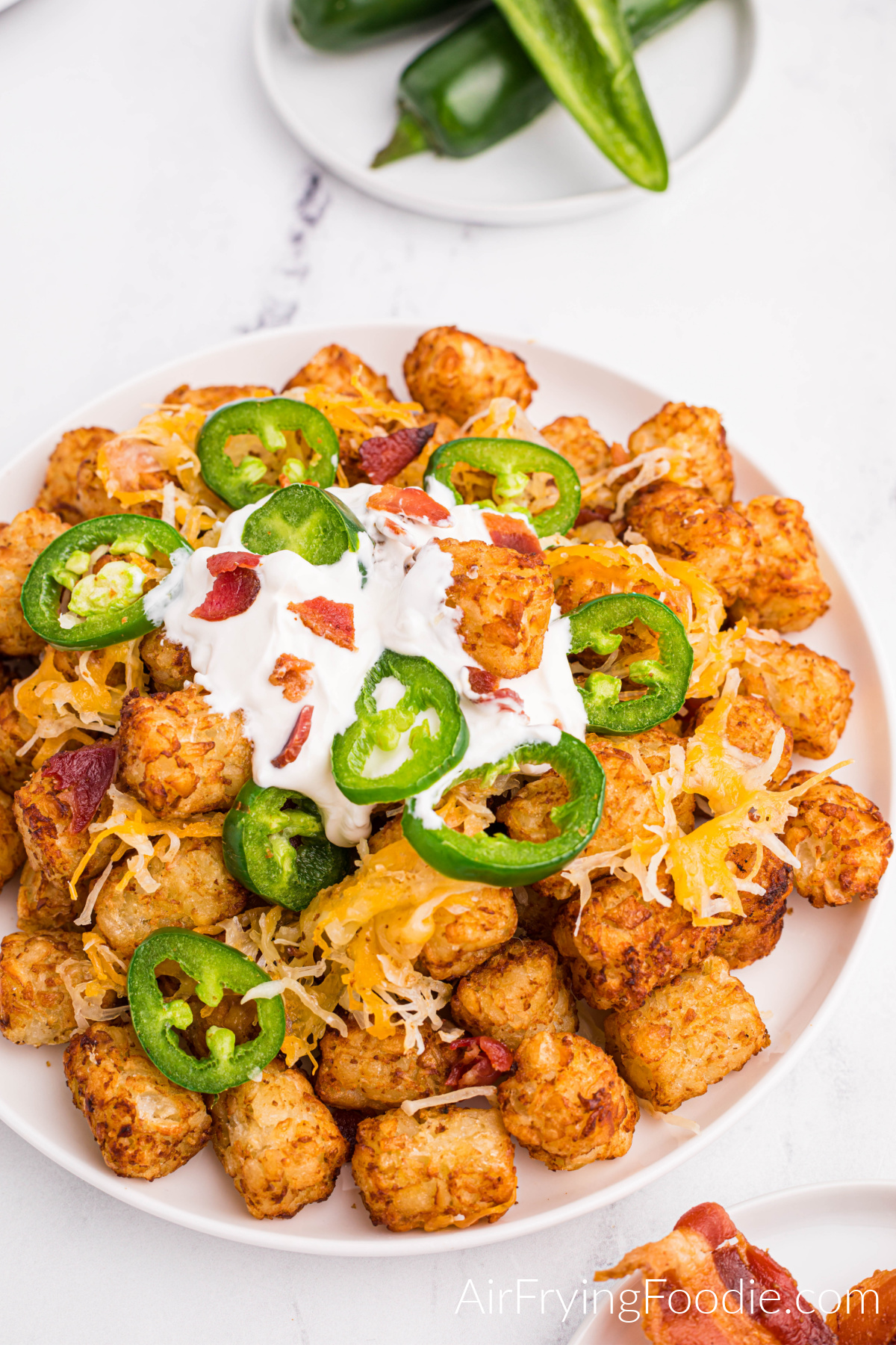Loaded Tater Tots in a hot plate, ready to eat.