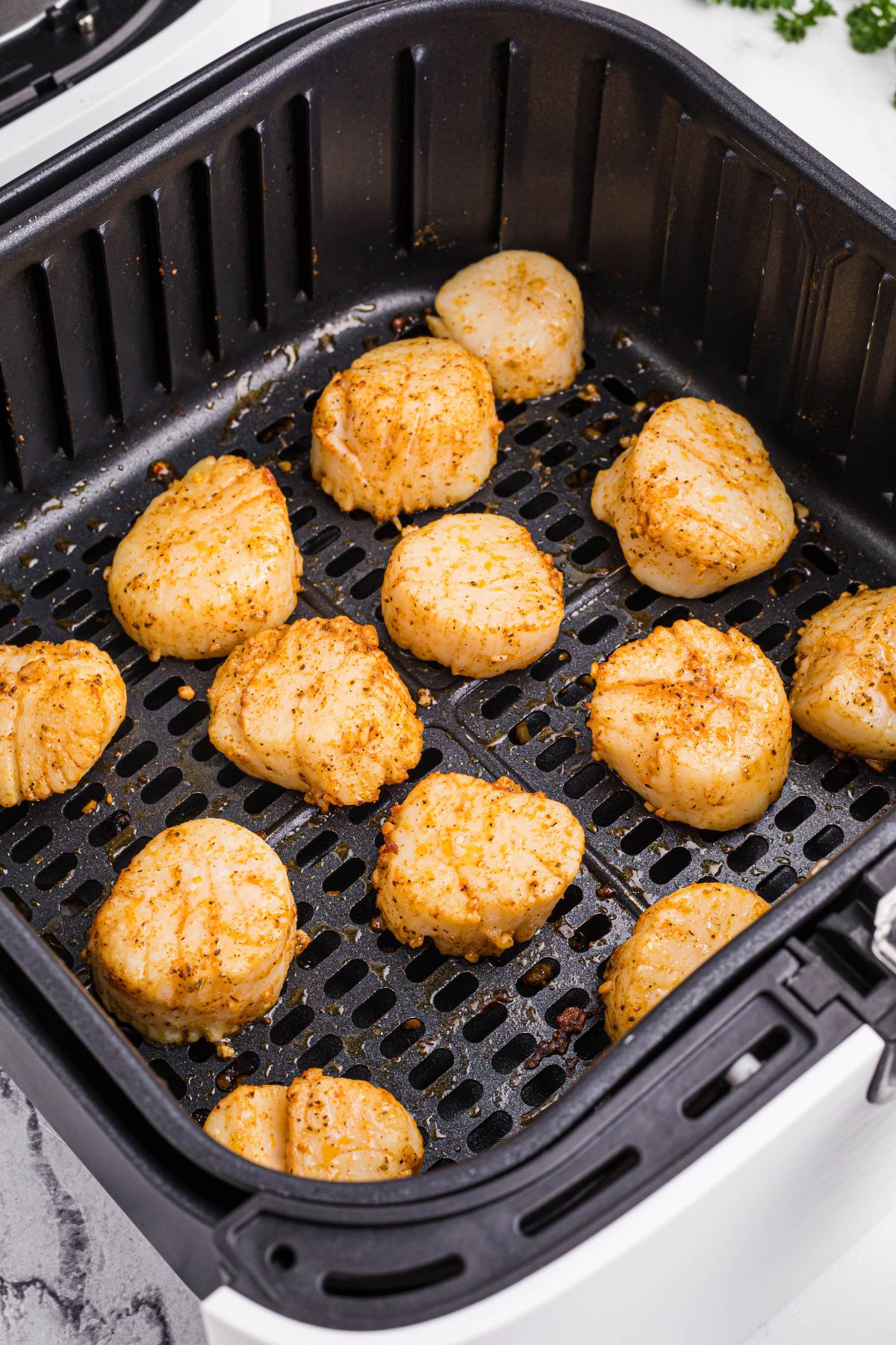 Juicy seasoned cooked sea scallops in an air fryer basket. 