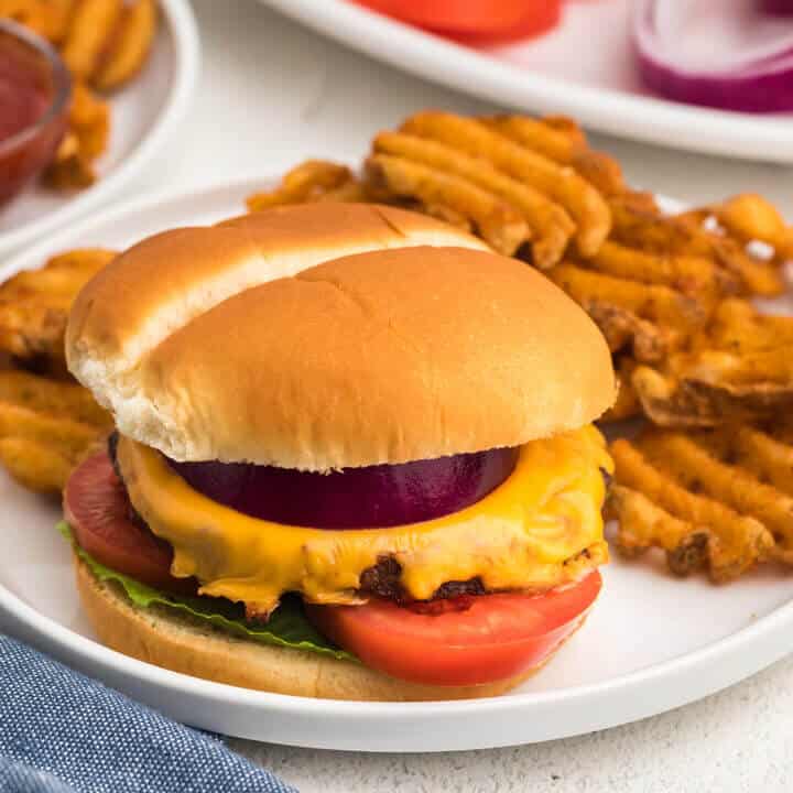 Reheat Fish in Air Fryer Air Frying Foodie