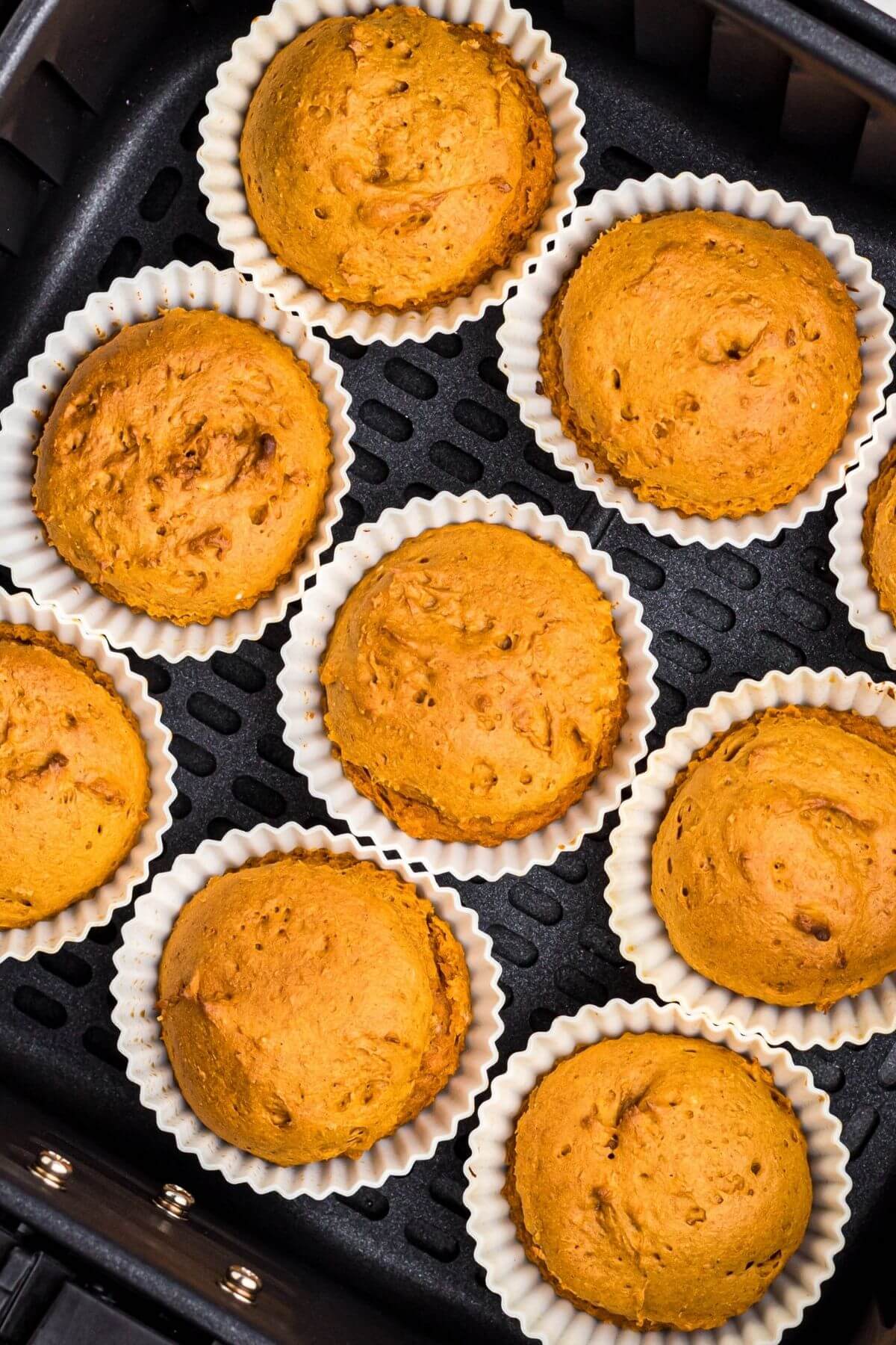 Pumpkin muffins in silicone liners in the air fryer basket after being cooked. 