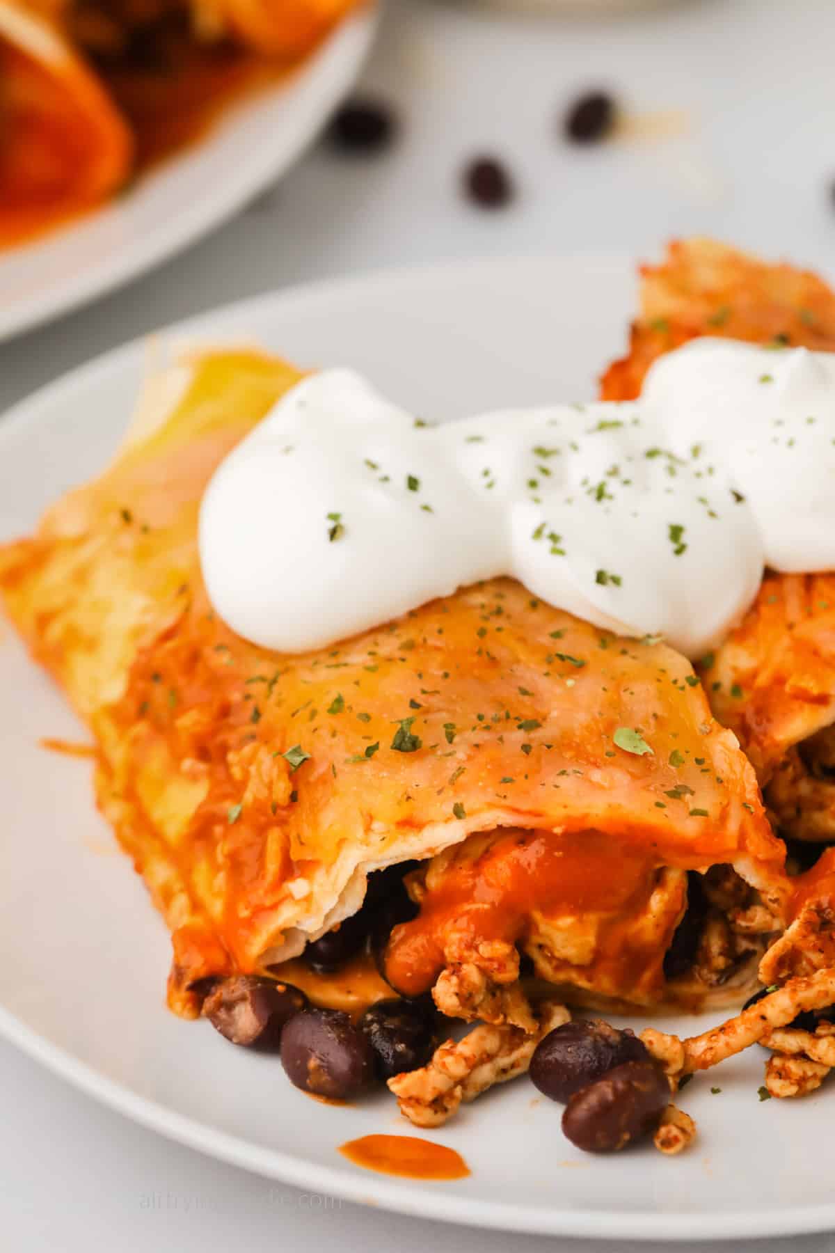 Close up of chicken enchiladas made in the air fryer. 