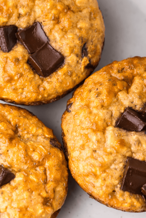 chocolate chip protein muffins on a white plate