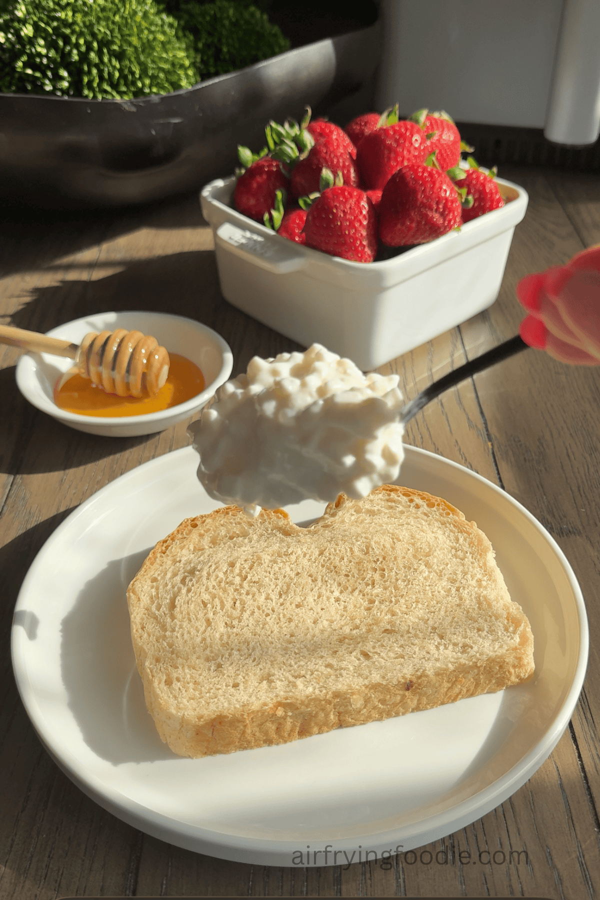 Spoonful of cottage cheese over sourdough bread and honey and strawberries in the background.